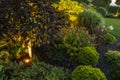 Garden Illuminated by LED Lighting System Royalty Free Stock Photo