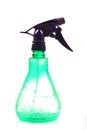 Garden insecticide sprayer