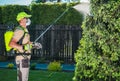 Garden Insecticide by Spraying