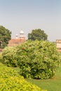 Garden inside Agra Fort, Agra, Uttar Pradesh, India Royalty Free Stock Photo