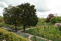 Garden from the inside of Monets house in Giverny