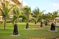 Garden with intense green grass and palm trees Royalty Free Stock Photo