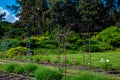 Garden iron forged arch surrounded by flower bed.