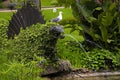 Garden with iron pangolin sculpture fountain