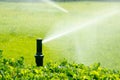 Garden irrigation Royalty Free Stock Photo