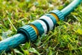 Garden irrigation hoses connected with a modern plastic hose connector for quick connection lying on the grass close up Royalty Free Stock Photo