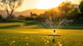 Garden irrigation system lawn. Automatic lawn sprinkler watering green grass. Selective focus. Royalty Free Stock Photo