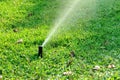 Garden Irrigation system spray watering Royalty Free Stock Photo