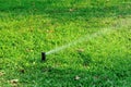 Garden Irrigation system spray watering Royalty Free Stock Photo