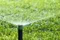 Garden Irrigation system spray watering lawn. Royalty Free Stock Photo