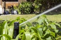 Garden Irrigation system sprinkler watering flowerbed and lawn.