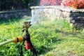 Garden irrigation system watering lawn. Watering sprayer Royalty Free Stock Photo