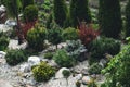 Sculptures at a Japanese garden. Conifers in the garden