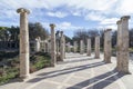 Garden,Jardins Joan Maragall and palace Albeniz,park montjuic,columns promenade Barcelona.