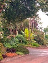 Garden of Kenia