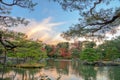 Garden in Kinkaku-ji the Golden Pavilion in Autumn season, Japan