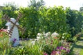 Garden kitchen garden with flowers and bushes of grapes Royalty Free Stock Photo