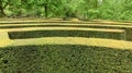 Garden Labyrinth