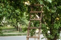 Garden ladder leaning against apples tree, preparations for harvest season. Pruning gardening high green plants in garden. Concept