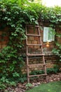 Garden ladder leaning against wall in Park, preparations for harvest season. Pruning gardening high green plants. Concept home gar