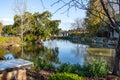 Garden lake pond surrounded by white flowers, small trees, reflections in water