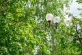 Garden lamp with spherical shades Royalty Free Stock Photo