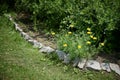 Garden landscape. A bush of yellow Eschscholzia californica California poppy flowers in a flower bed Royalty Free Stock Photo