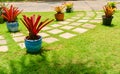 Garden landscape design with pathway intersecting bright green lawns and shrubs white sheet walkway in the garden.