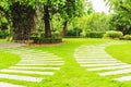 Garden landscape design with pathway intersecting bright green lawns and shrubs white sheet walkway in the garden. Landscape