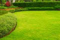 Garden landscape design with tall and low shrubs and Colorful flowers has a beautiful.? Royalty Free Stock Photo