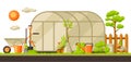 Garden landscape illustration with plants and tools. Season gardening concept