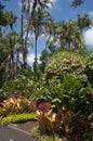 Garden landscape with layers of colour and texture Royalty Free Stock Photo