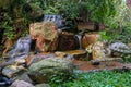 Garden landscape with waterfall, rocks and green plants, Oasis and nature background concept Royalty Free Stock Photo