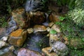 Garden landscape with waterfall, rocks and green plants, Oasis and nature background concept Royalty Free Stock Photo