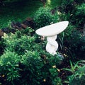 Garden landscaping. Decor statue Twist shape stone bird bath surrounded by flowers bush. Royalty Free Stock Photo