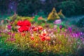 Garden Landscaping Design. Flower Bed, Green Trees