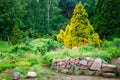 Garden Landscaping Design. Flower Bed, Green Trees