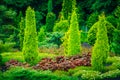 Garden Landscaping Design. Flower Bed, Green Trees