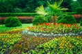 Garden Landscaping Design. Flower Bed, Green Trees