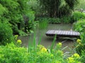 Garden landscaping pond in spring Royalty Free Stock Photo