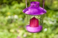 Garden lantern