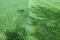 Emerald green lawn mowing landscape maintenance