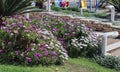 Garden with lawn and flowering bushes