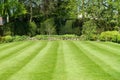 Garden Lawn Royalty Free Stock Photo