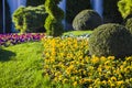 Garden Lawn Royalty Free Stock Photo