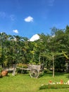 Garden Lawn. Peaceful Garden with a Freshly Mown Grass Lawn Royalty Free Stock Photo