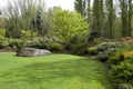 Garden lawn after spring rain