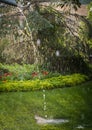 Garden lawn in spring rain Royalty Free Stock Photo