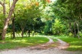 GARDEN WITH LAWN AND TREES