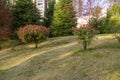 Garden with lawn and trees